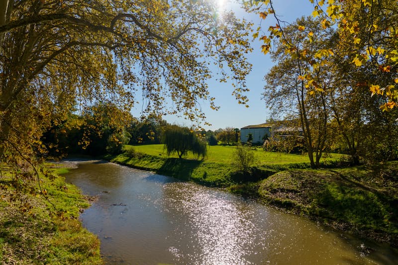 Paysage ensoleillé avec une rivière bordée d'arbres et d'herbe verte, reflétant la lumière du soleil, et une maison visible au loin sur une prairie.
