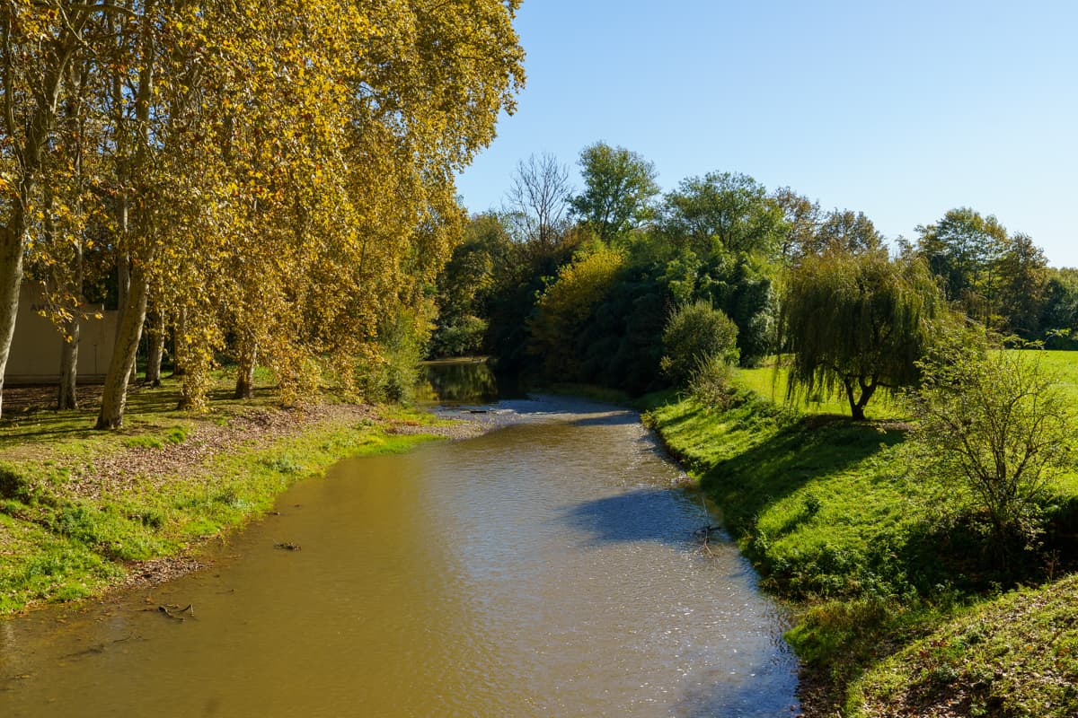 Rivière sinueuse bordée d'arbres aux feuilles dorées et de verdure, sous un ciel clair et ensoleillé, créant un paysage paisible et naturel.